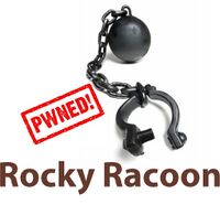 Rocky Racoon