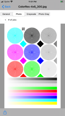 ColorRes-4x6_300.jpg